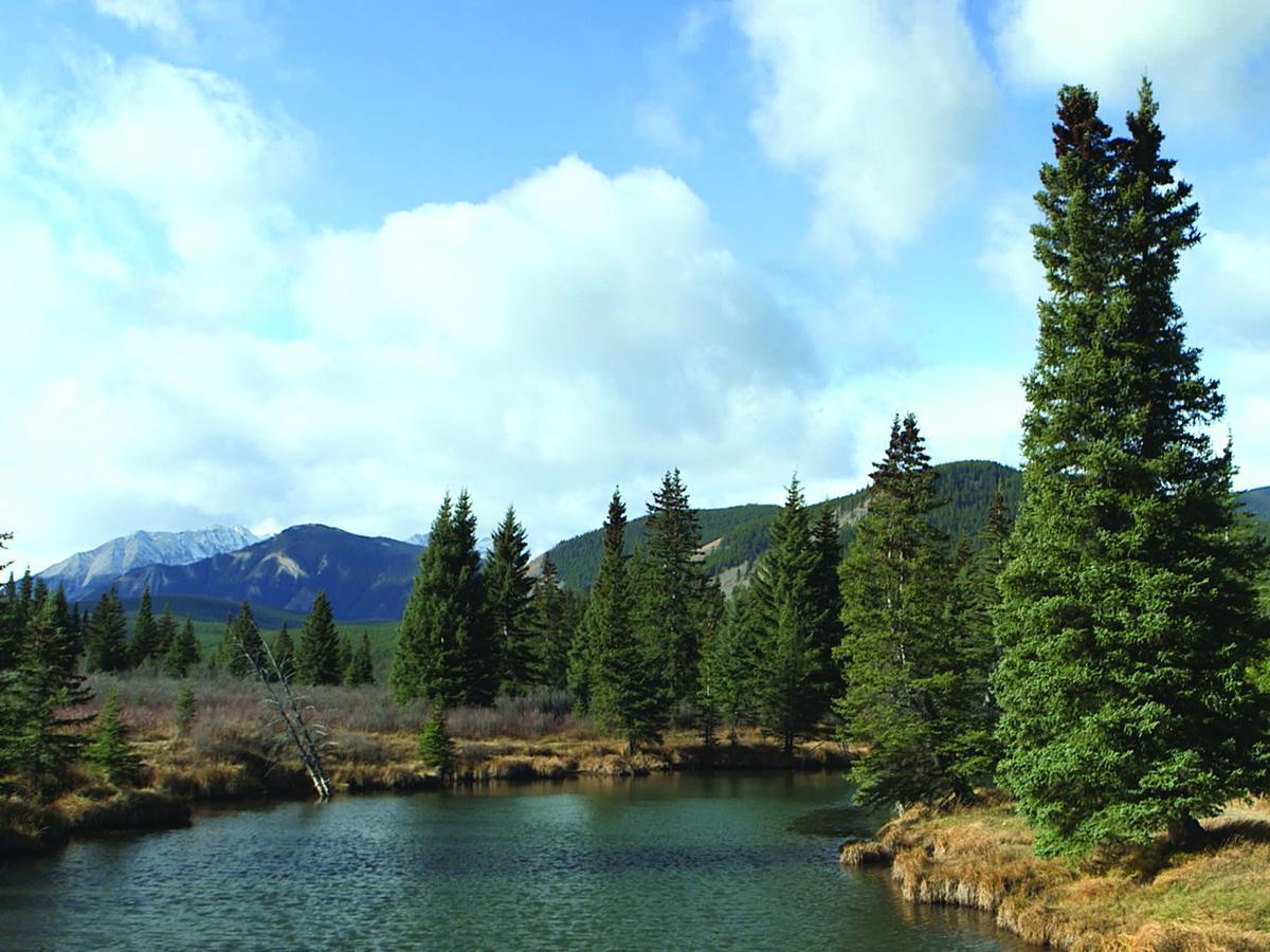 Rock Lake Lodge Rock Lake Lodge Provincial Park Εξωτερικό φωτογραφία